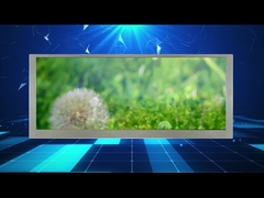 affichage en format large d'affichage à cristaux liquides de 10,3 résolutions de pouce 1280*480 pour le moniteur de voiture