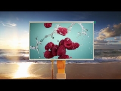 Tous les angles de vision 10.1 pouces Modules LCD tactiles résistifs