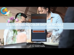 Module d'affichage Full HD